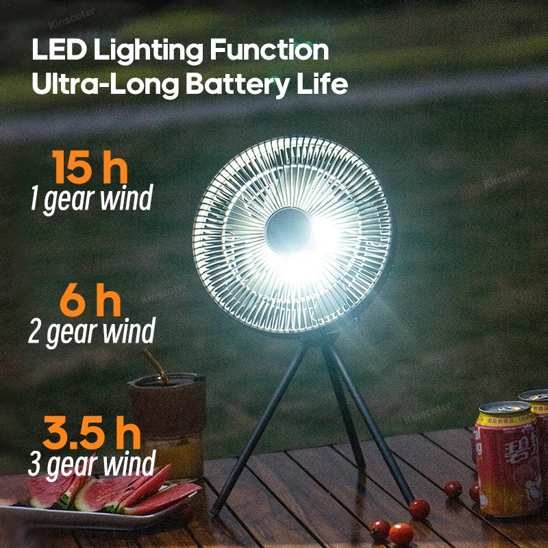 Electric Oscillating Fan