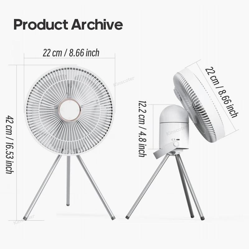Electric Oscillating Fan