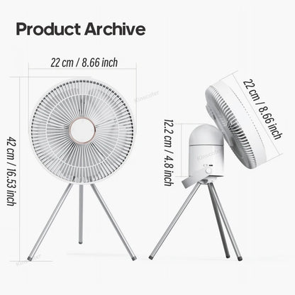 Electric Oscillating Fan