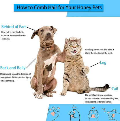 Dog and Cat Hair Remover Brush