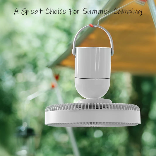 Electric Oscillating Fan