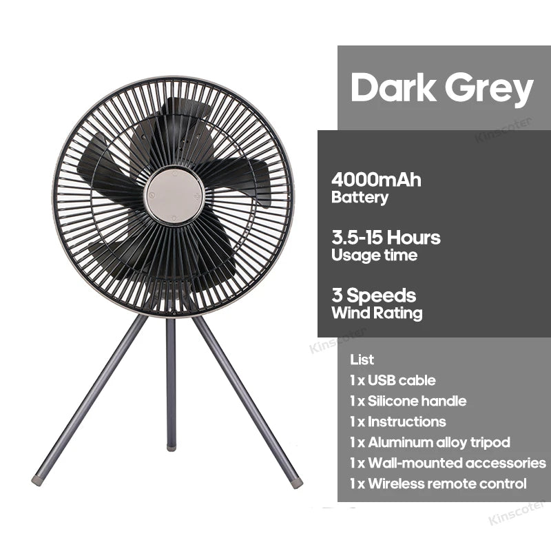Electric Oscillating Fan