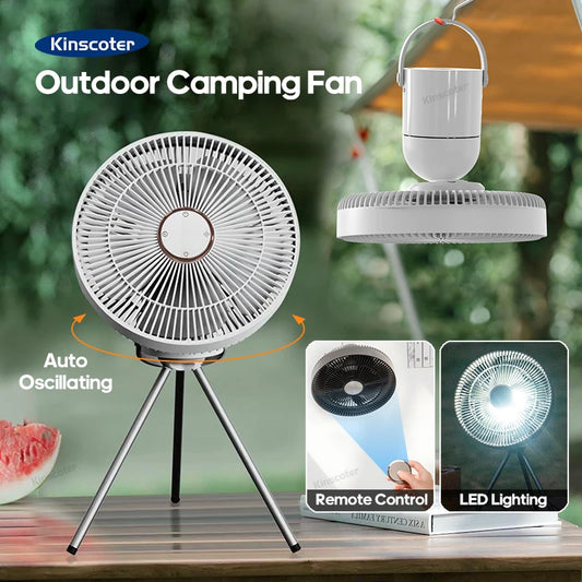 Electric Oscillating Fan