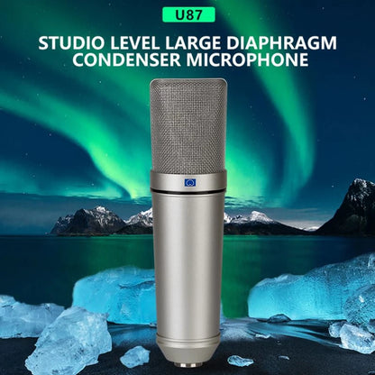 Metal condenser microphone Laptop/Computer Professional