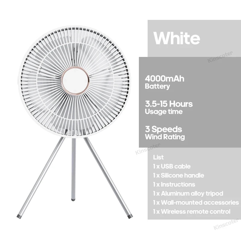Electric Oscillating Fan